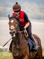 AK021025-64 - Believitanducan